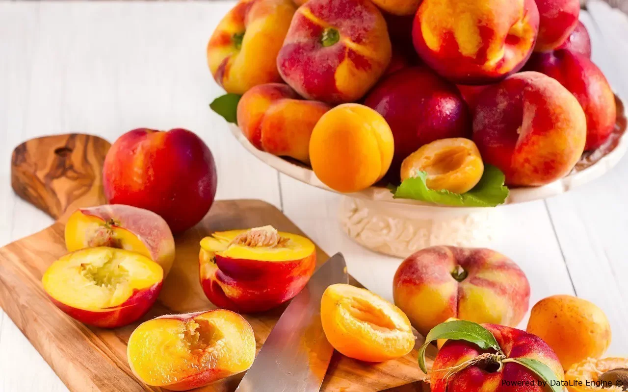 Bağçılıq və soyuducu anbar kompleksi