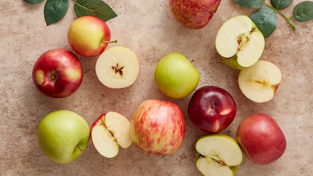 Bağçılıq və soyuducu anbar kompleksi