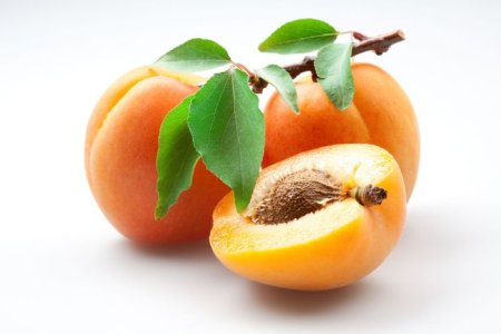 Apricot 6